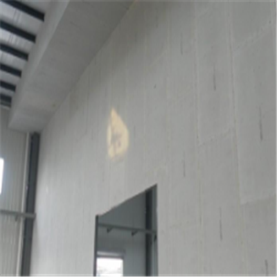 理塘宁波ALC板|EPS加气板隔墙与混凝土整浇联接的实验研讨